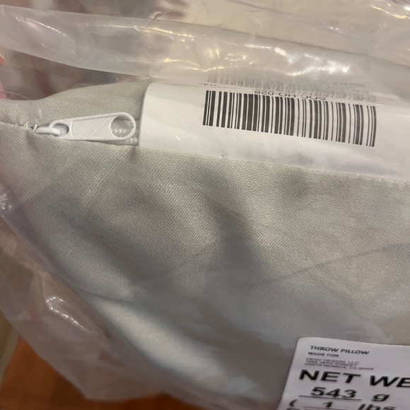 NWT Sage Green and Cream 18X18 Pillow in bag, Zippered, FabFitFun - Picture 5 of 6